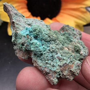 Può includere: Primo piano di un campione minerale con una superficie ruvida e strutturata. La roccia presenta un mix di colori, tra cui sfumature di verde e marrone, con una sorprendente tonalità turchese in alcune aree. Il minerale sembra essere una formazione naturale.