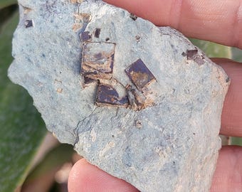 Può includere: Un pezzo di roccia ruvida, verde-azzurro chiaro, con diversi cristalli scuri di forma quadrata incorporati. I cristalli hanno una lucentezza metallica e un colore marrone-viola scuro. La roccia ha una consistenza ruvida e irregolare.