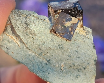 Può includere: Un cristallo di forma cubica di colore marrone scuro su un pezzo di roccia verde. Il cristallo ha una finitura lucida e metallica.