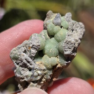 May include: A close-up of a mineral specimen featuring a cluster of light green, spherical formations. The mineral sits on a rough, gray matrix with hints of brown and a small, clear crystal. The specimen is held by a person's fingers.