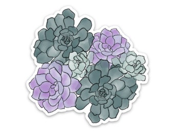 Succulent stickers, plant stickers for kindle, cute plant stickers, plant lover stickers, plant mom sticker