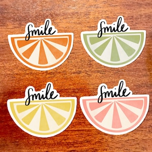 Fruit Sticker Pack, 3x3in. Vinyl Stickers for your Laptop, Hydroflask, Planner or Bullet Journal