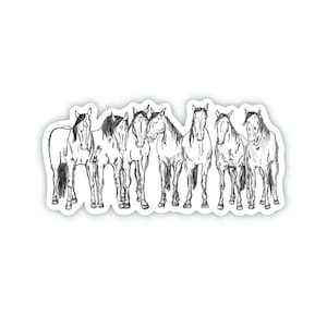 Horse stickers for waterbottle, coastal cowgirl stickers, western stickers, rodeo stickers, horse decal for car