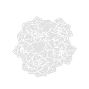 Succulent stickers transparent, plant stickers for kindle, cute plant stickers, plant lover stickers, plant stickers laptop