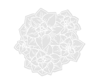 Succulent stickers transparent, plant stickers for kindle, cute plant stickers, plant lover stickers, plant stickers laptop