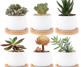 Ceramic Small Plant Pot with Bamboo Bottom