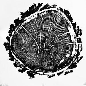 Impression sur bois de chêne III, anneaux d&#39;arbre imprimés à la main, impression de gravure sur bois, art de la nature, impression de bûche, 12 x 12