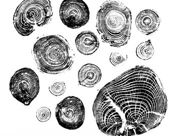 Microforest Wood Print | Assorted Tree Print | Handprinted Tree Rings | Woodcut Print | Nature Art | Log Print | 19 3/4 X 19 3/4"