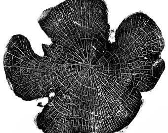 Cedar IV Wood Print | Handprinted Tree Rings | Woodcut Print | Nature Art | Log Print | 12 x 12