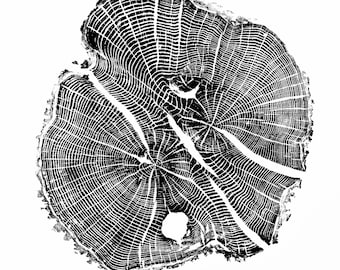 Willow II Wood Print | Handprinted Tree Rings | Woodcut Print | Nature Art | Log Print | 24 x 24