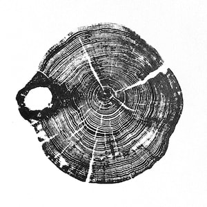 Impression sur bois Little Oak III | Anneaux d&#39;arbre imprimés à la main | Gravure sur bois | Art naturel | Anneau d&#39;arbre artistique | Impression du journal | 9 x 9