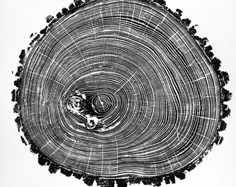 Ash II Wood Print, Anneaux d’arbres imprimés à la main, Gravure sur bois, Nature Art, Log Print, 19 3/4 »