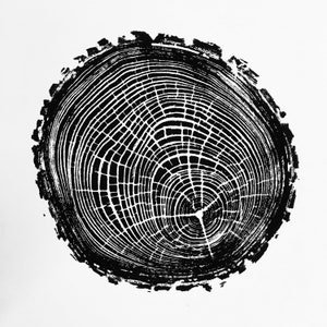 Little Ash Wood Print, Handprinted Tree Rings, Woodcut Print, Nature Art, Log Print