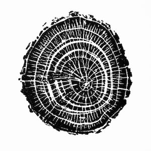 Petite impression sur bois de frêne II | Anneaux d&#39;arbre imprimés à la main | Gravure sur bois | Art naturel | Anneau d&#39;arbre artistique | Impression du journal | 9 x 9