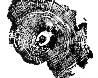 River Oak Wood Print | Handprinted Tree Rings | Woodcut Print | Nature Art | Log Print | 12 x 12