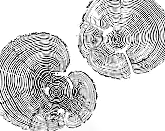 Russian Olive IV Wood Print | Handprinted Tree Rings | Woodcut Print | Nature Art | Log Print | 19 3/4 x 19 3/4"