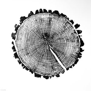 Impression sur bois de chêne IV, anneaux d&#39;arbre imprimés à la main, impression de gravure sur bois, art de la nature, impression de bûche, 19 3/4&quot;