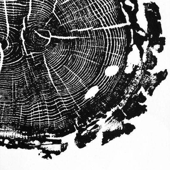 オーク III 木版画、手刷りの年輪、木版画、自然アート、丸太