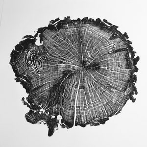 Oak II Wood Print, Handprinted Tree Rings, Woodcut Print, Nature Art, Log Print, 24 x 24