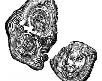 Cedar II Wood Print | Handprinted Tree Rings | Woodcut Print | Nature Art | Log Print | 16 x 20