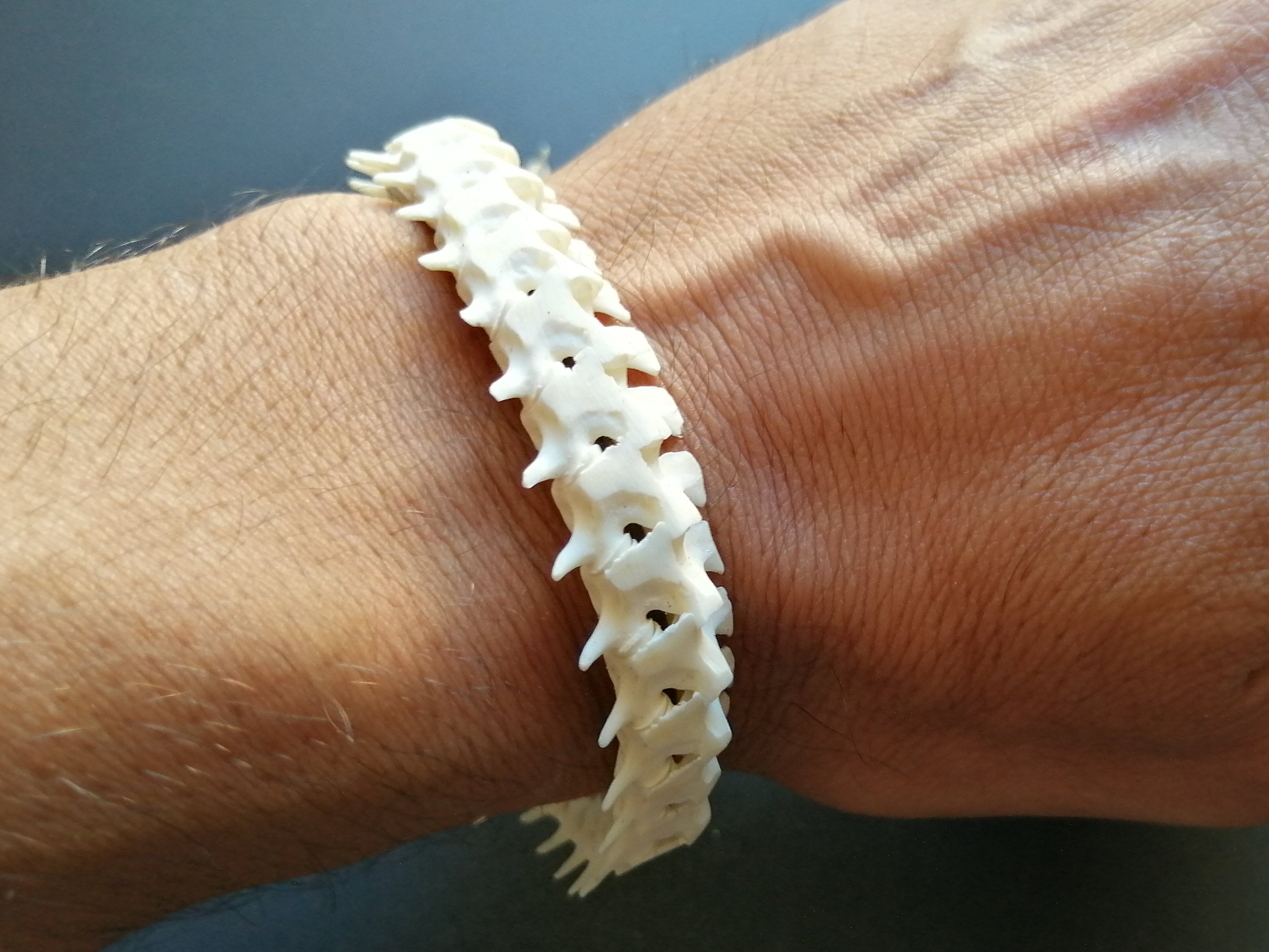 Snake Bones Vertebras Bracelet- Adjustable Size- Voodo Jewels