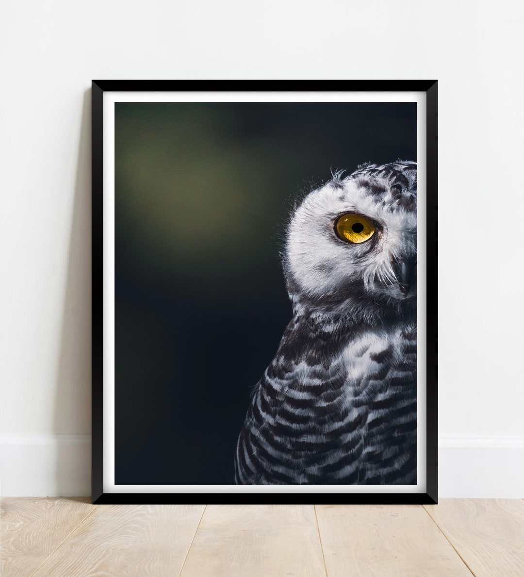 Snowy Owl Portrait Photography Print Fine Art Wall Art Exclusive Print ...