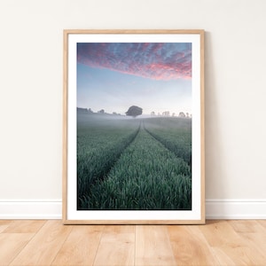 Stampa fotografica delle South Downs all'alba: fotografia paesaggistica dell'Hampshire da appendere al muro.