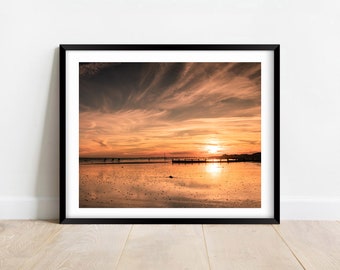 bracklesham pet supplies