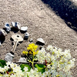 May include: A silver key rests on a textured gray surface, surrounded by small rocks and sprigs of white and yellow flowers. The flowers have small, delicate white petals and green leaves, creating a natural, organic scene.