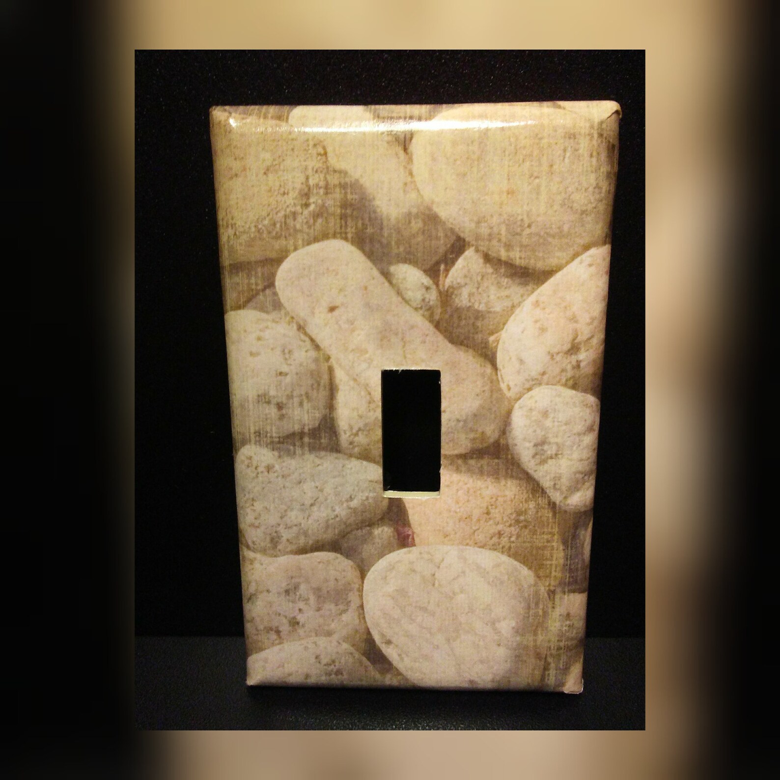 light switch cover rock