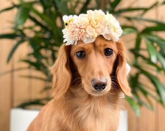 Buzzy bee Dog Flower Collar | Dog wedding Crown