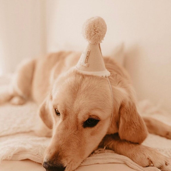 Dog Birthday Party Hat | Dog birthday party | Dog accessories | Puppy hat | Dog birthday hat | animal birthday hat