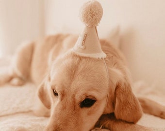 Chapeau de fête d'anniversaire pour chien | Fête d'anniversaire de chien | Accessoires pour chiens | Bonnet pour chiot | Chapeau d'anniversaire pour chien | chapeau d'anniversaire animal