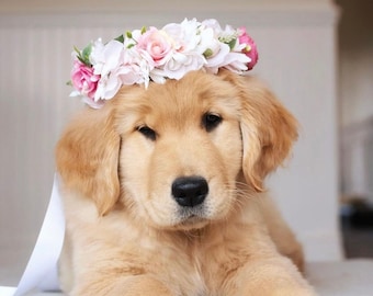 Dog Flower Collar | Dog Flower Crown