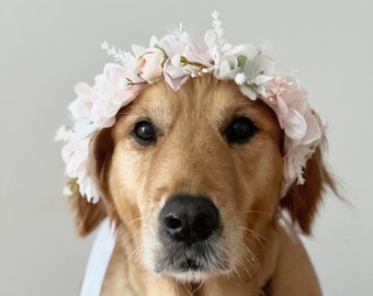 Collier couronne de fleurs roses et blancs pour chien