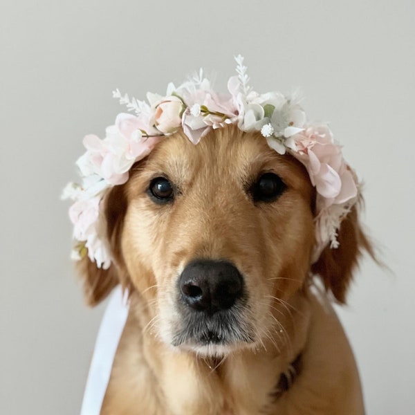 Pinks and whites Dog Flower Crown Collar