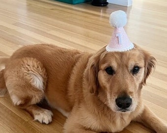 Dog Pink Glitter Party Hat | Dog birthday party | Dog accessories | Puppy hat | Dog birthday hat | animal birthday hat