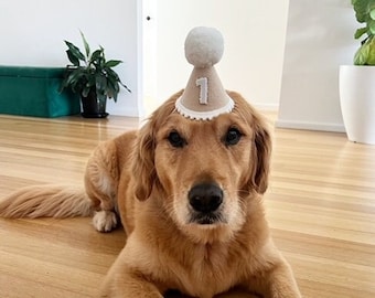 Chapeau de fête d'anniversaire pour chien | Fête d'anniversaire de chien | Accessoires pour chiens | Bonnet pour chiot | Chapeau d'anniversaire pour chien | chapeau d'anniversaire animal