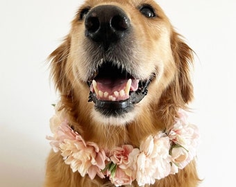 Grand collier de fleurs rose pour chien | Couronne de mariage de chien