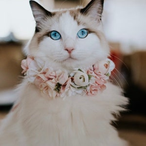 Cat Flower Collar | Dog Flower Crown