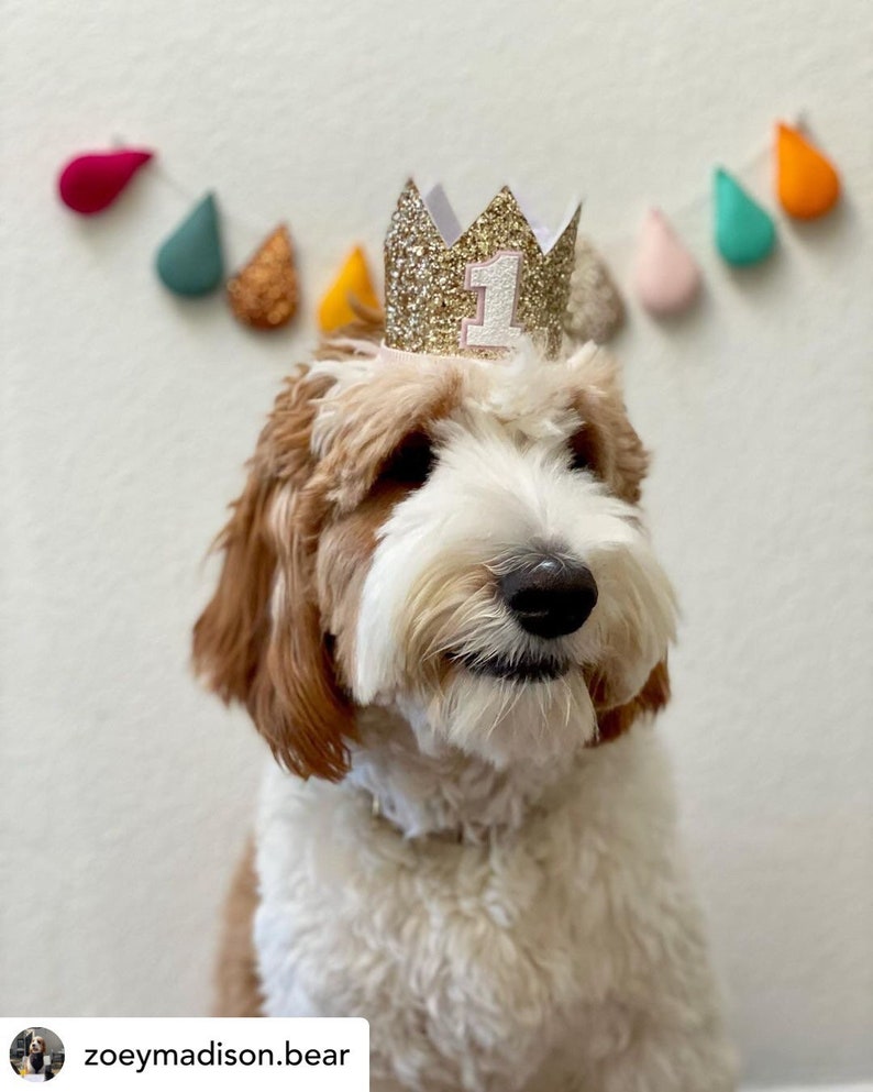 Gold and Pink Dog Birthday Crown Dog Birthday Hat Party Etsy