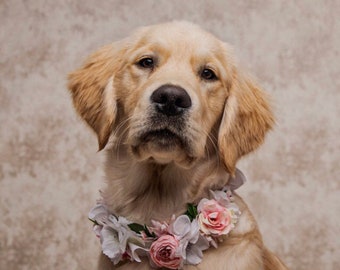 Dog Flower Collar | Dog Flower Crown
