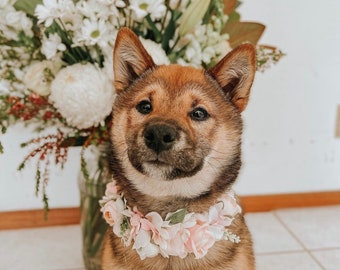 Dog Flower Collar | Dog wedding Crown