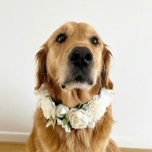 Large White Dog Flower Collar Dog wedding Crown image 4
