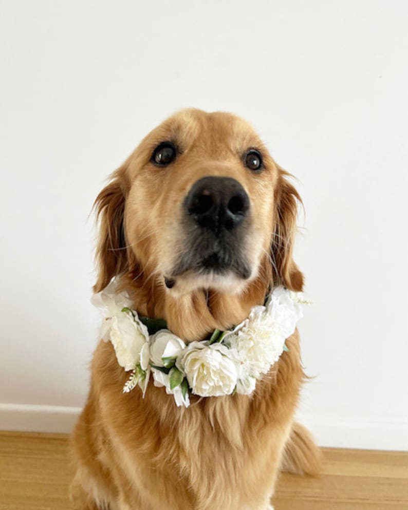 Large White Dog Flower Collar Dog wedding Crown image 4