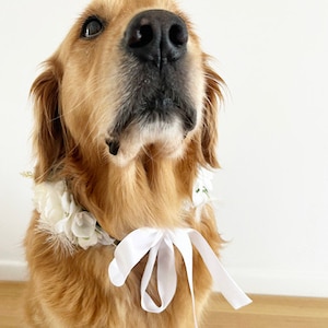 Large White Dog Flower Collar Dog wedding Crown image 2