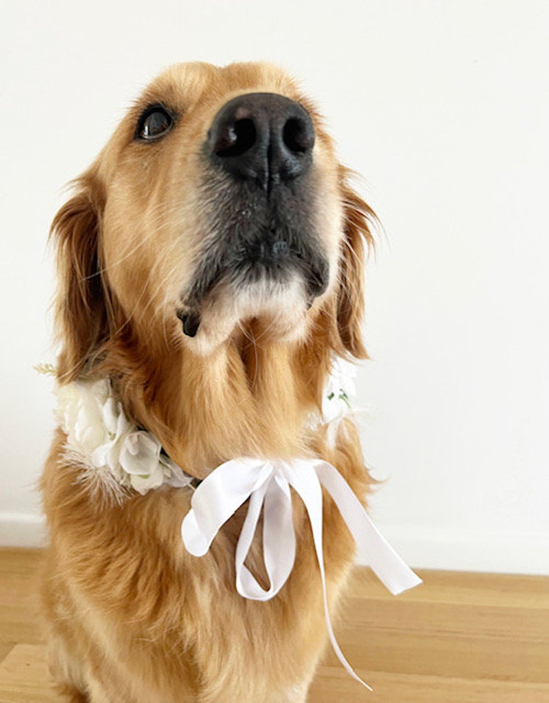 Large White Dog Flower Collar Dog wedding Crown image 2