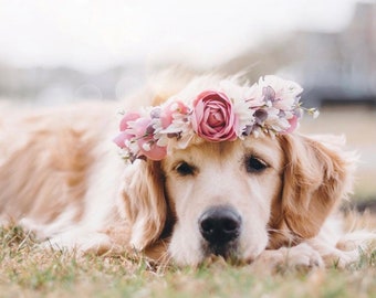 Collier couronne de fleurs pour chien