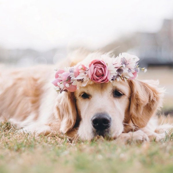 Collier couronne de fleurs pour chien