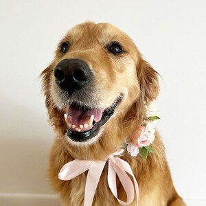 Grand collier de fleurs rose pour chien Couronne de mariage de chien image 3